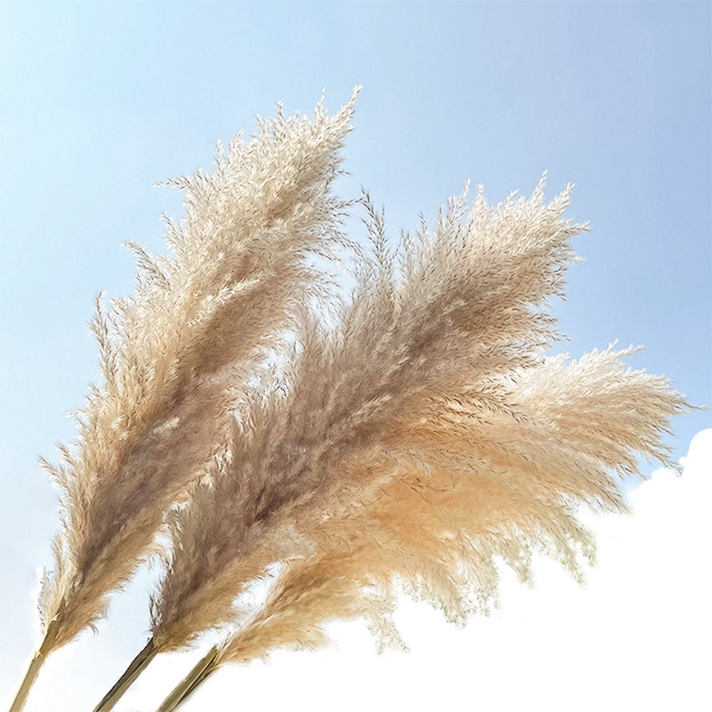 Dried Flower Bouquet